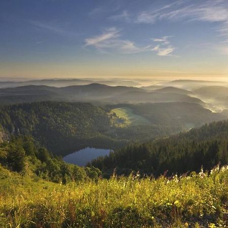 Waldloft Titisee Exteriér fotografie