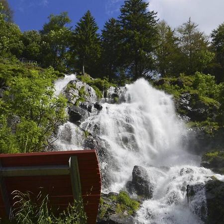 Waldloft Titisee Exteriér fotografie