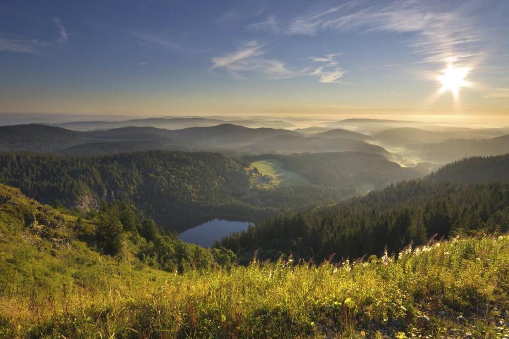 Waldloft Titisee Exteriér fotografie
