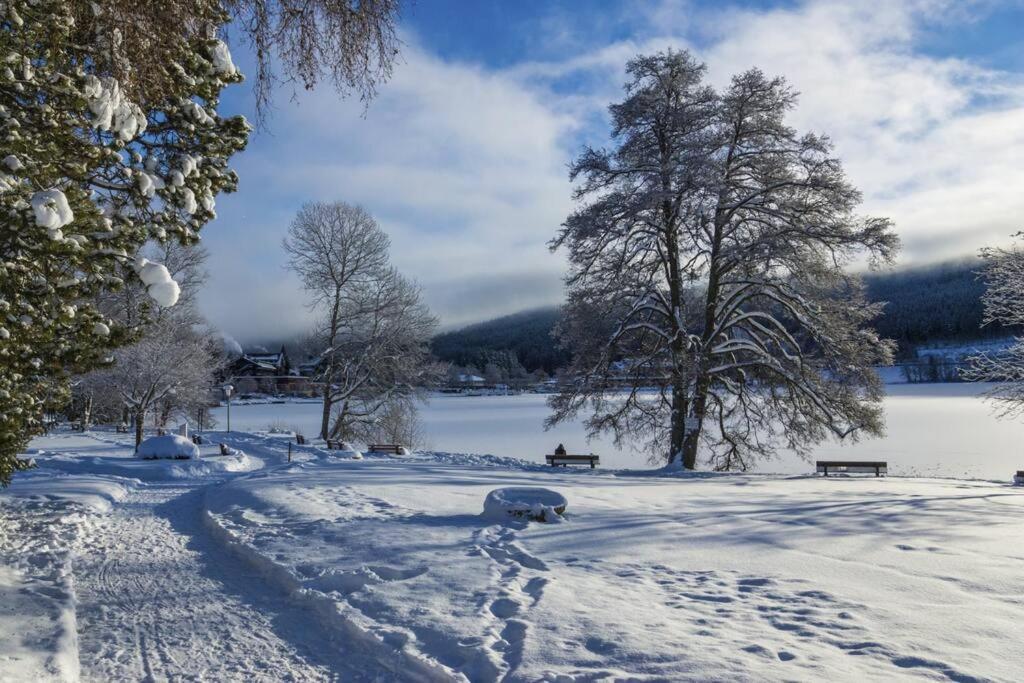 Waldloft Titisee Exteriér fotografie