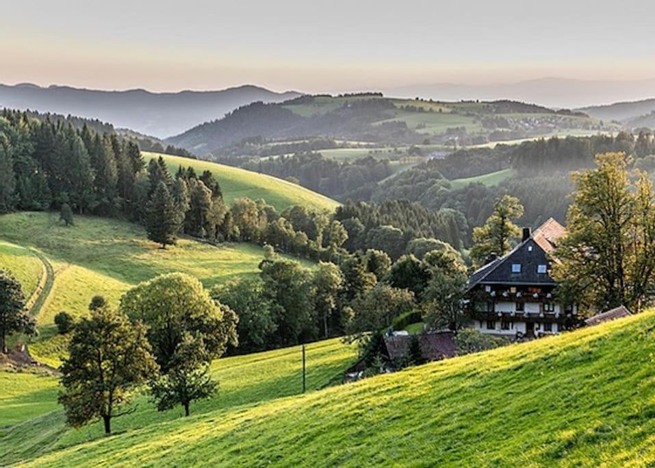Waldloft Titisee Exteriér fotografie