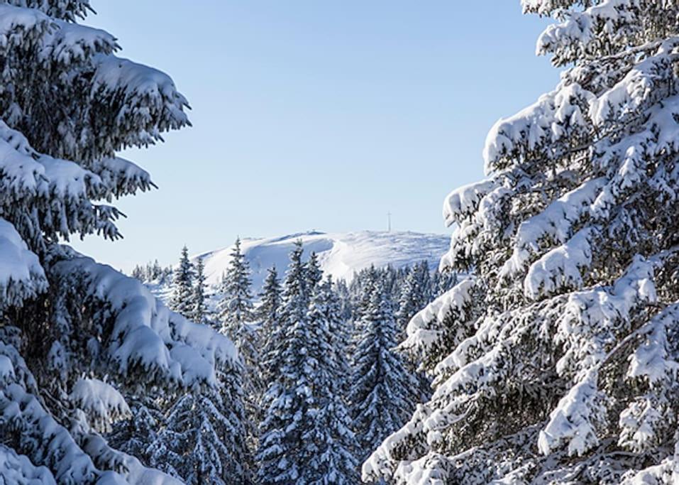Waldloft Titisee Exteriér fotografie